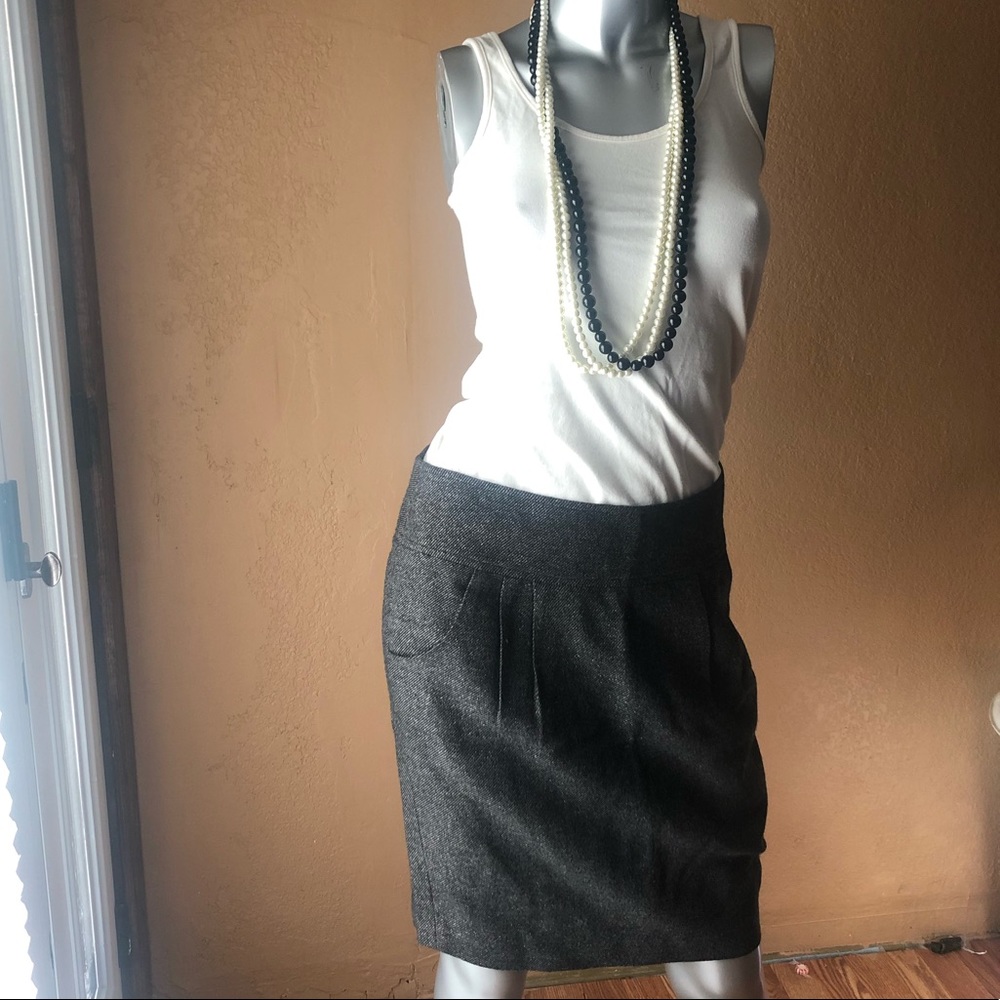 Ann Taylor skirt